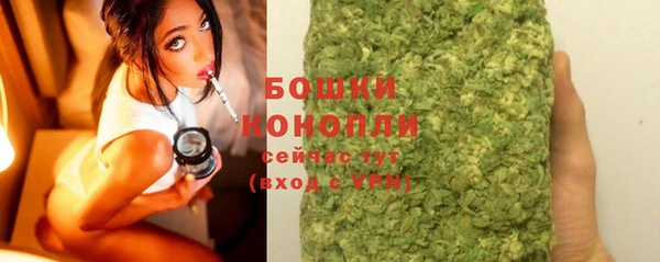 спайс Инта