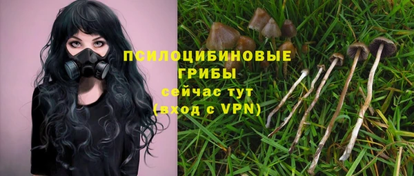СК Нефтегорск