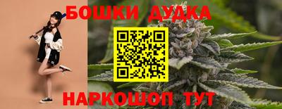 дживик Гай