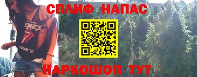 меф Гатчина