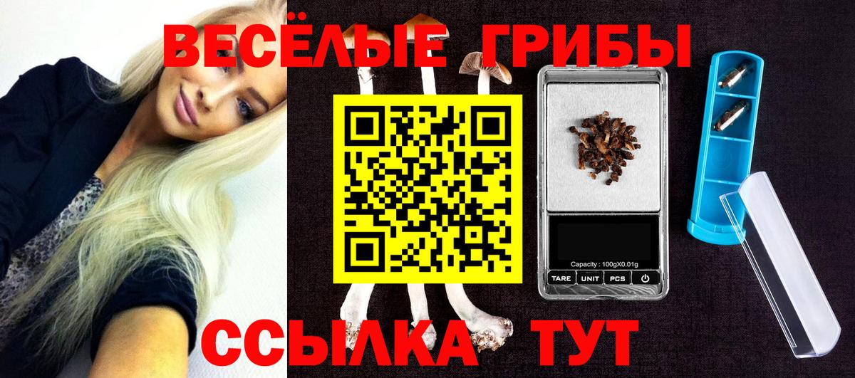 Галлюциногенные грибы Psilocybe Алапаевск